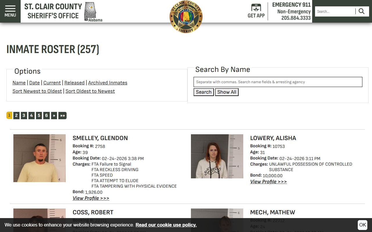 St. Clair County inmate roster showing jail mugshots and booking records